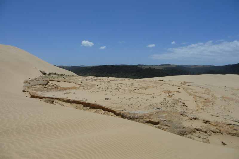 Nieuw-Zeeland 2011 - 0386